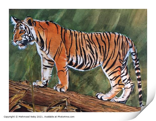 Tiger Painting Print by Mehmood Neky