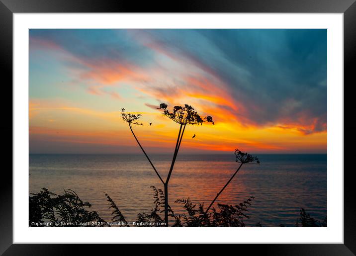 Sky sea sun and flora Framed Mounted Print by James Lavott