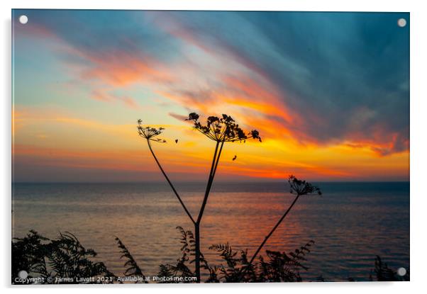 Sky sea sun and flora Acrylic by James Lavott