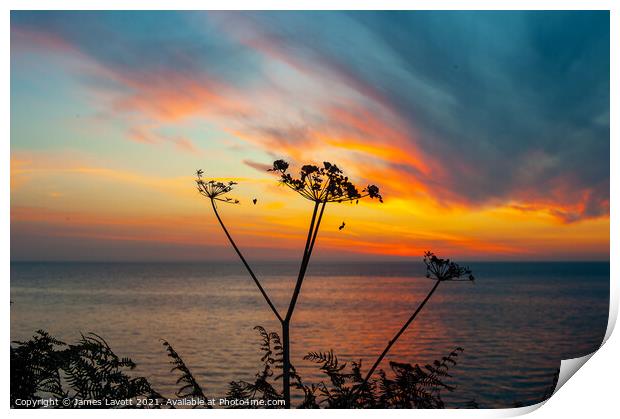 Sky sea sun and flora Print by James Lavott