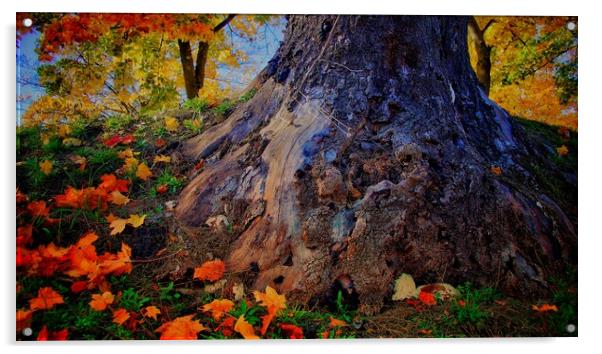 Autumn Colours Acrylic by Victor Burnside