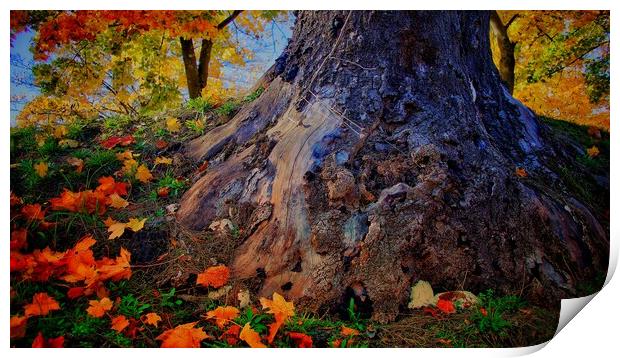 Autumn Colours Print by Victor Burnside