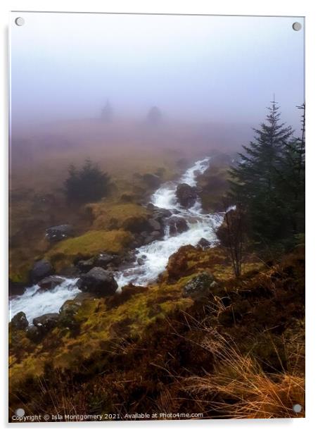 Foggy Stream Acrylic by Isla Montgomery