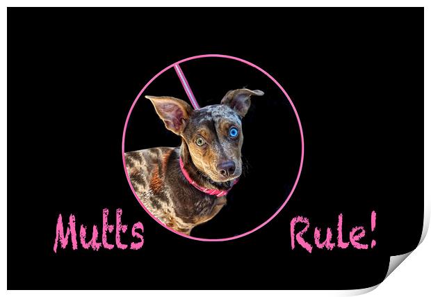 Mutts Rule! Print by Alison Chambers