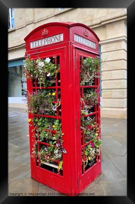 Red Telephone Box of Flowers Framed Print by Ailsa Darragh