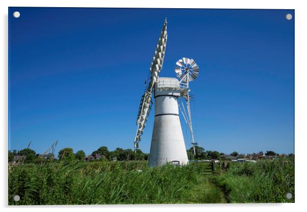 Thurne dyke drainage mill Acrylic by Andrew Sharpe