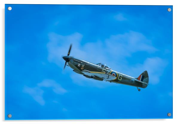 Spitfire of 131 Polish Wing. Acrylic by Bill Allsopp