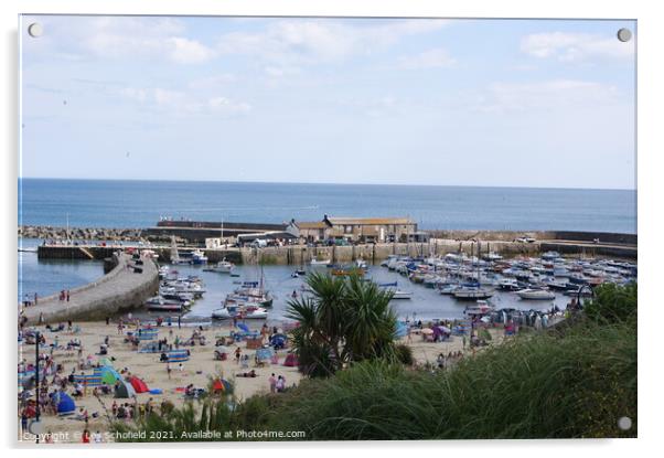 A Panoramic View of Lyme Regis Harbour Acrylic by Les Schofield