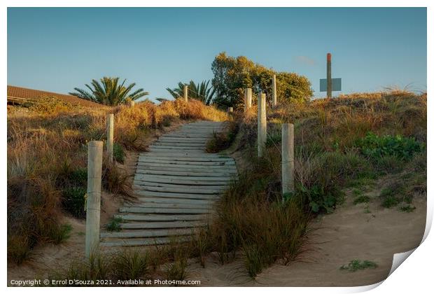 Matapouri Bay Beach Access Stairs Print by Errol D'Souza