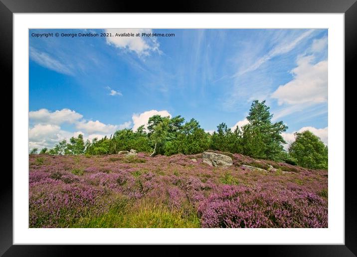 Rothbury Hills Framed Mounted Print by George Davidson
