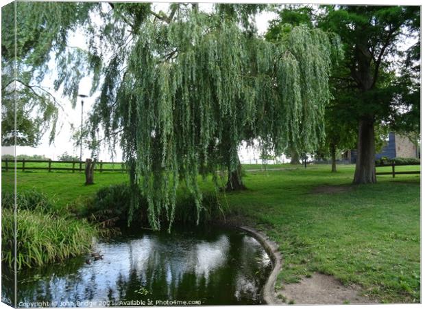 Chalkwell Park in Bloom Canvas Print by John Bridge