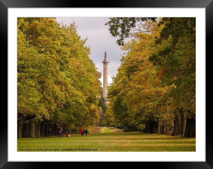 The Avenue Framed Mounted Print by mark james