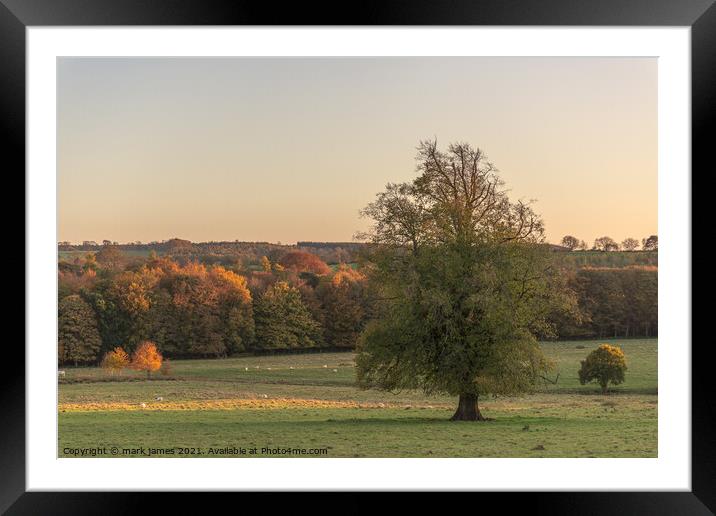 Setting sun on an Autumn day Framed Mounted Print by mark james