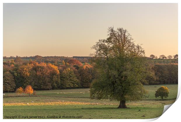 Setting sun on an Autumn day Print by mark james