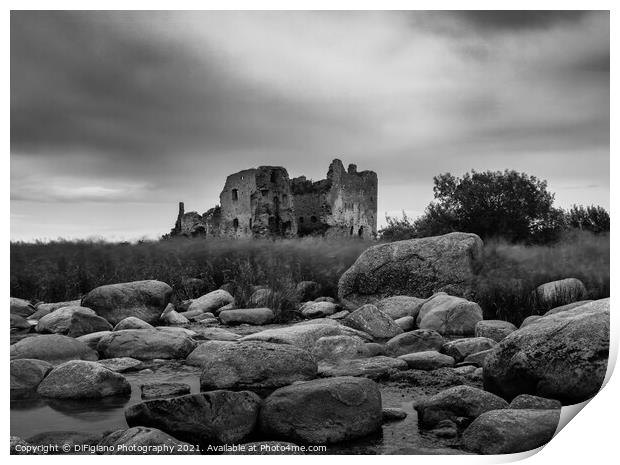 Toolse Castle Print by DiFigiano Photography
