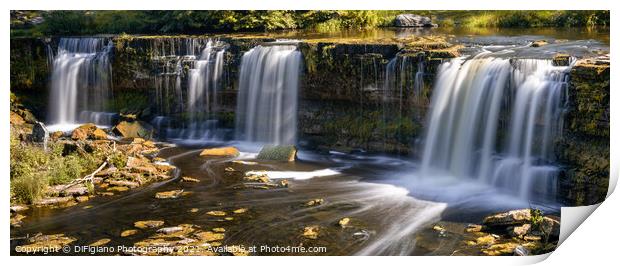 Keila Falls Print by DiFigiano Photography