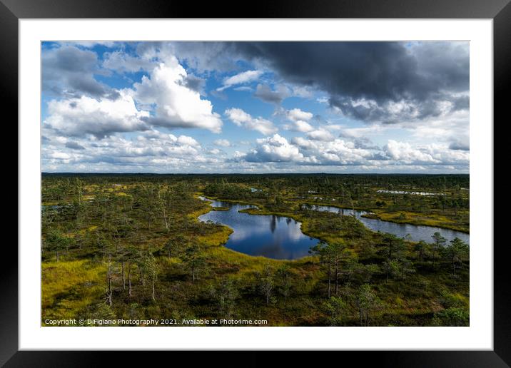 The Great Keremi Bog Framed Mounted Print by DiFigiano Photography