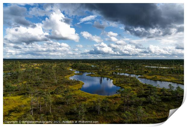 The Great Keremi Bog Print by DiFigiano Photography