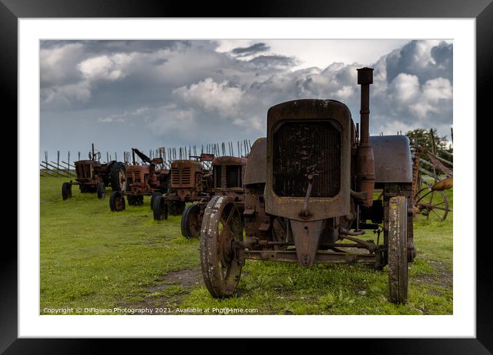 Generations Framed Mounted Print by DiFigiano Photography