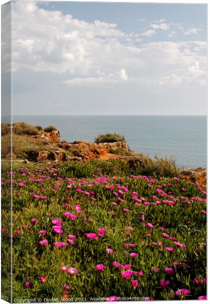 Majestic Cascais Cliff Flowers Canvas Print by Dudley Wood
