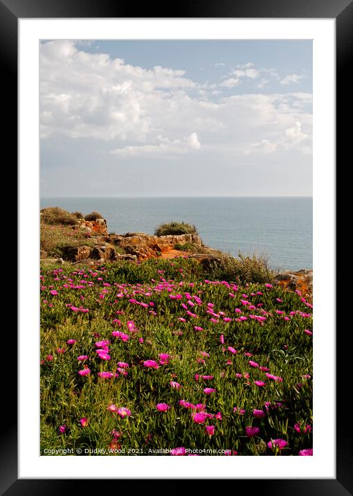 Majestic Cascais Cliff Flowers Framed Mounted Print by Dudley Wood