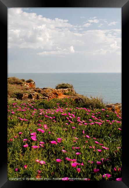 Majestic Cascais Cliff Flowers Framed Print by Dudley Wood