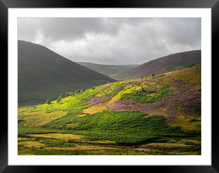 Burst of light and colour Framed Mounted Print by gary telford