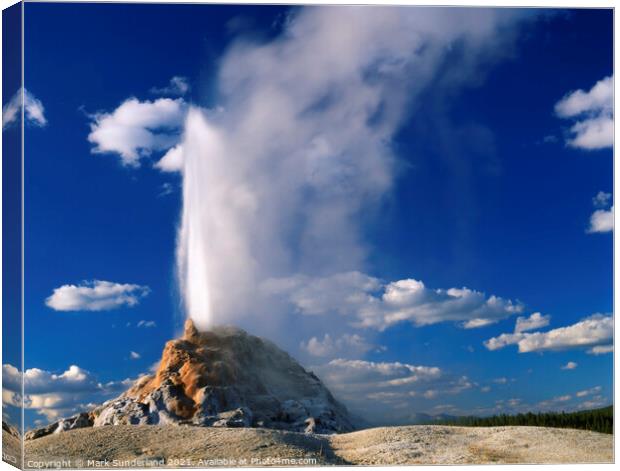 White Dome Geyser at Yellowstone Canvas Print by Mark Sunderland