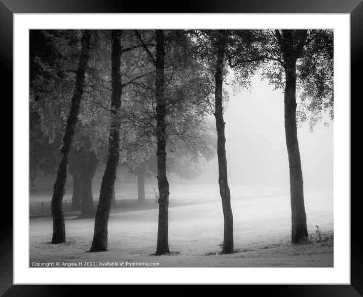 Foggy trees Framed Mounted Print by Angela H
