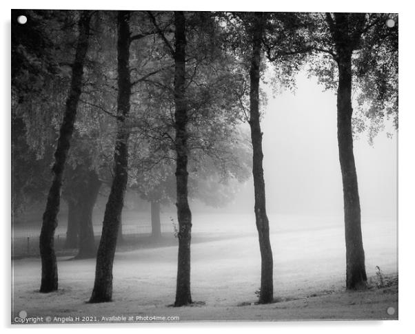 Foggy trees Acrylic by Angela H