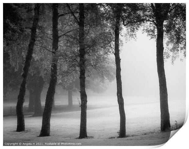Foggy trees Print by Angela H