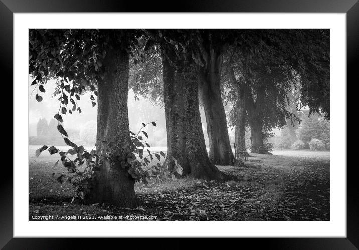 Foggy morning in the park Framed Mounted Print by Angela H