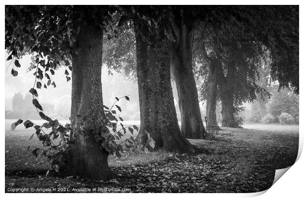 Foggy morning in the park Print by Angela H