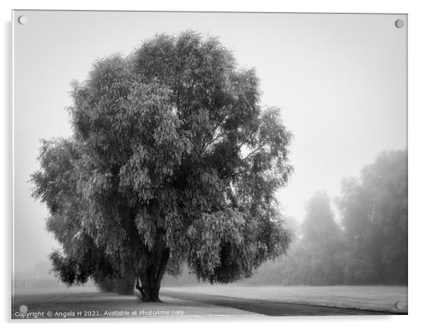 Single tree in fog Acrylic by Angela H