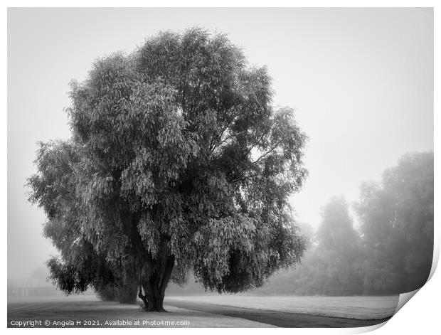 Single tree in fog Print by Angela H
