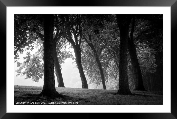 Foggy forest Framed Mounted Print by Angela H