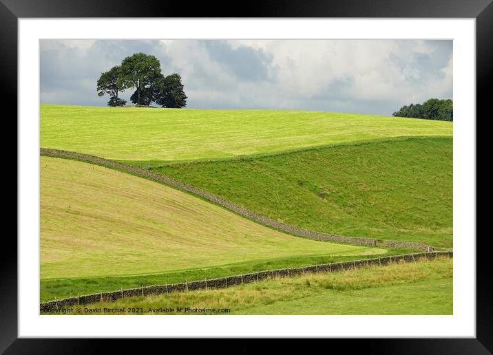 Yorkshire Dales summer greenery. Framed Mounted Print by David Birchall