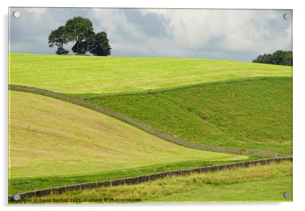 Yorkshire Dales summer greenery. Acrylic by David Birchall