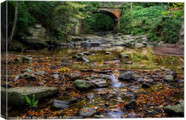 Autumnal Beauty at Falling Foss Canvas Print by Ron Ella