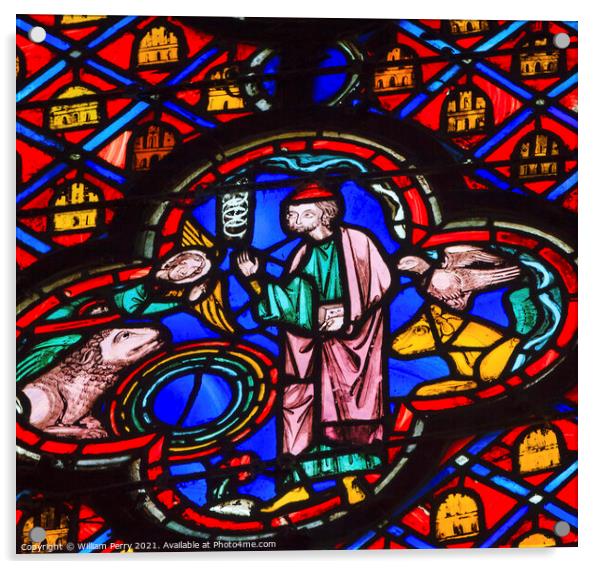 Saint Francis of Assisi Animals Stained Glass Sainte Chapelle Pa Acrylic by William Perry