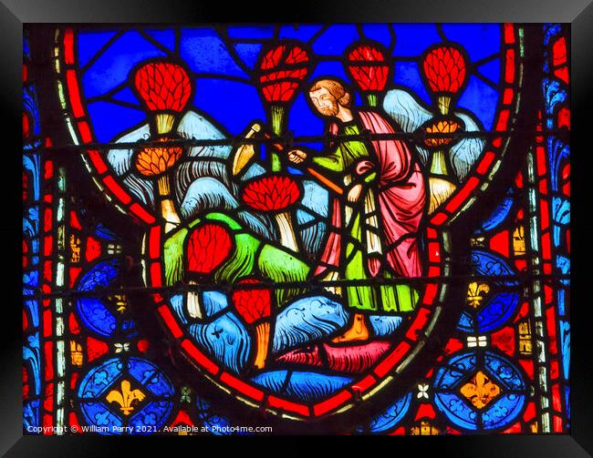 Farmers Flowers Stained Glass Sainte Chapelle Paris France Framed Print by William Perry