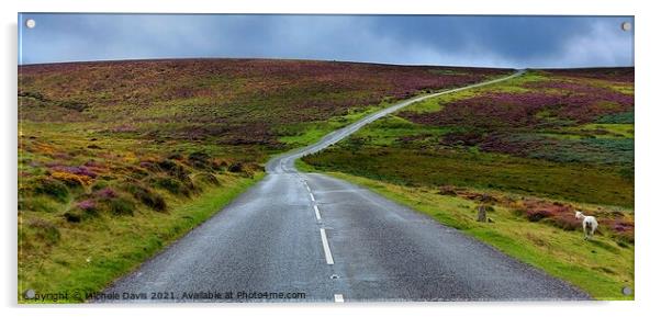 Dartmoor Acrylic by Michele Davis