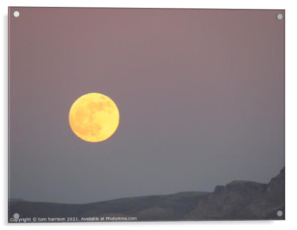 full desert moon Acrylic by tom harrison
