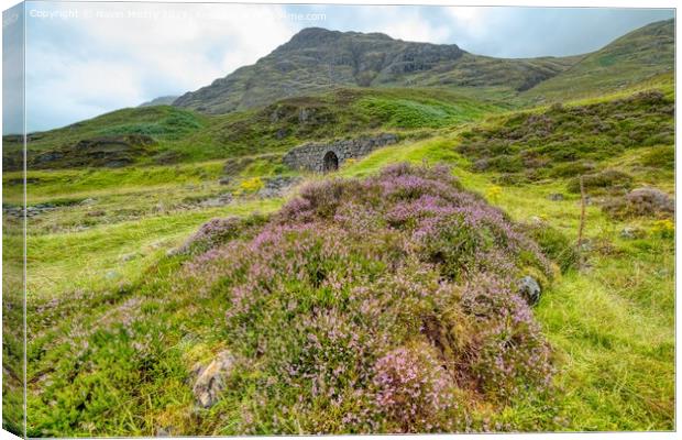Heather Moorland West Highland Way Canvas Print by Navin Mistry