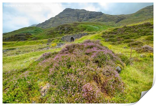Heather Moorland West Highland Way Print by Navin Mistry