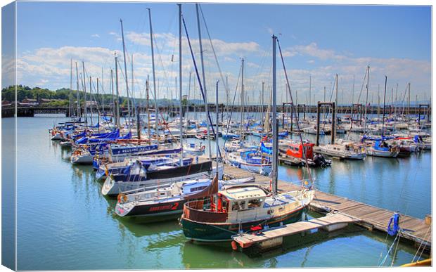 Port Edgar Marina Canvas Print by Tom Gomez