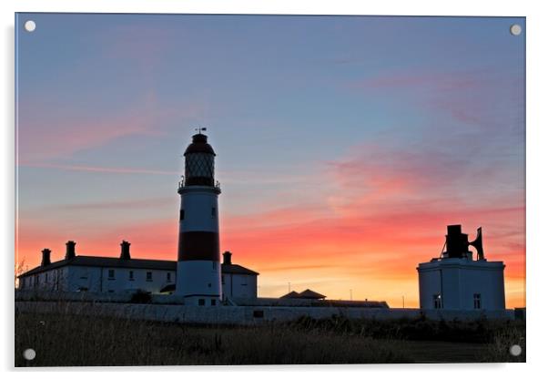 Souter Lighthouse Sunset Acrylic by Rob Cole