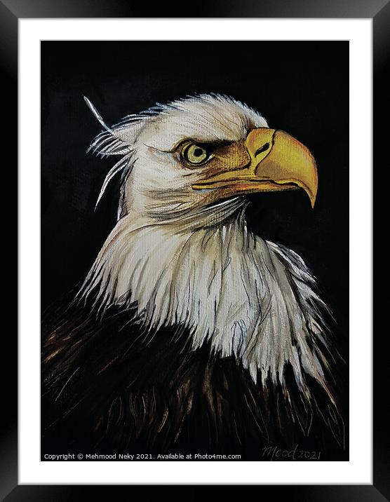 USA Bald Eagle Painting Framed Mounted Print by Mehmood Neky