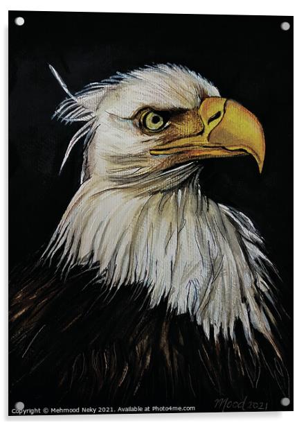 USA Bald Eagle Painting Acrylic by Mehmood Neky