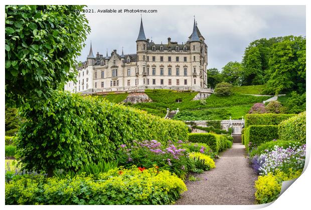 Garden at Dunrobin Castle, Sutherland, Scotland Print by Angus McComiskey